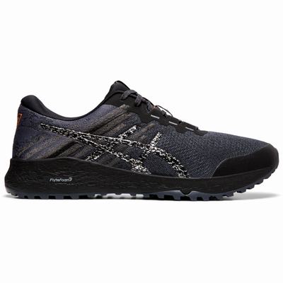 Asics Alpine Xt 2 - Miesten Polkujuoksukengät - Harmaat/Hopea